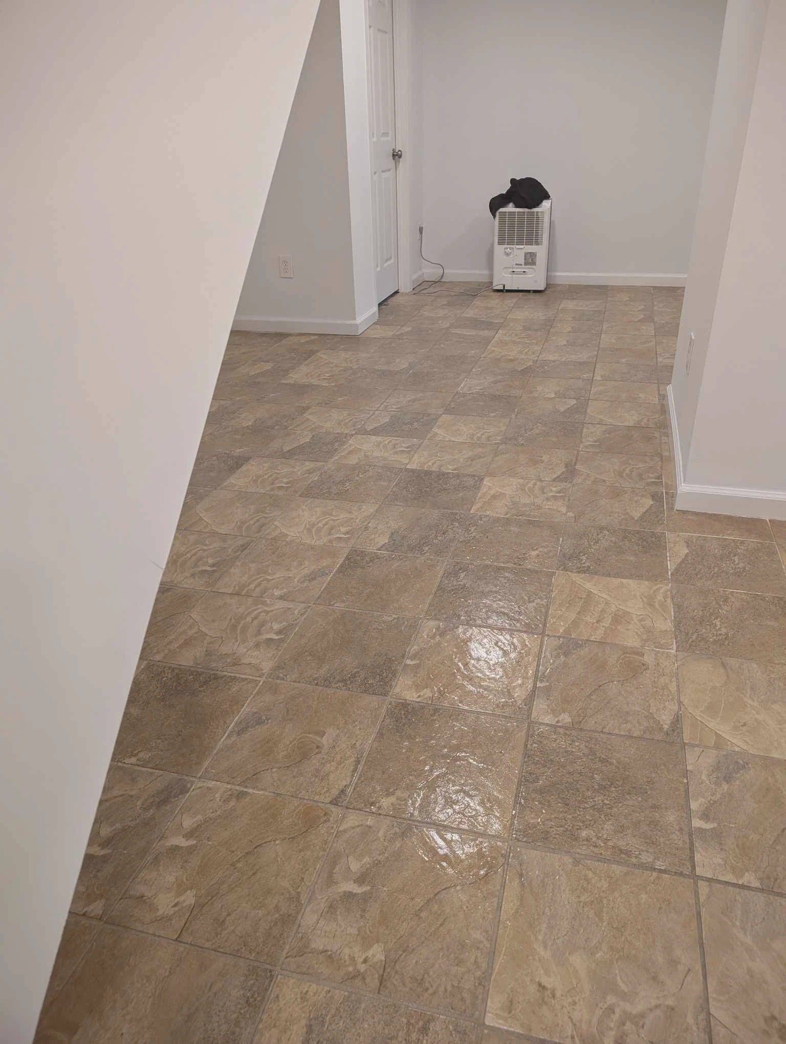 Professional post-construction cleaning team