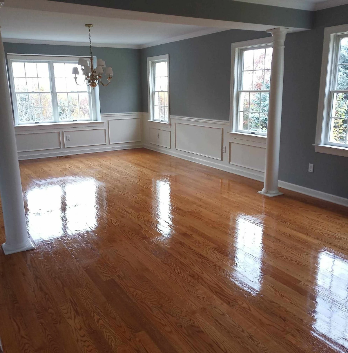 Professional house cleaning team
